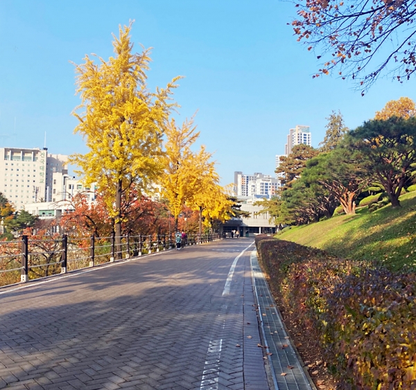 건국대는 학기 중이지만 코로나19로 인한 비대면 수업으로 교내에서 학생을 찾아 보기 힘들었다.